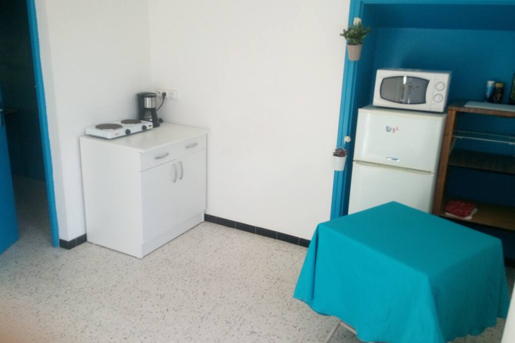 Une cuisine équipée : frigo, micro-ondes, plaques de cuisson et cafetière.