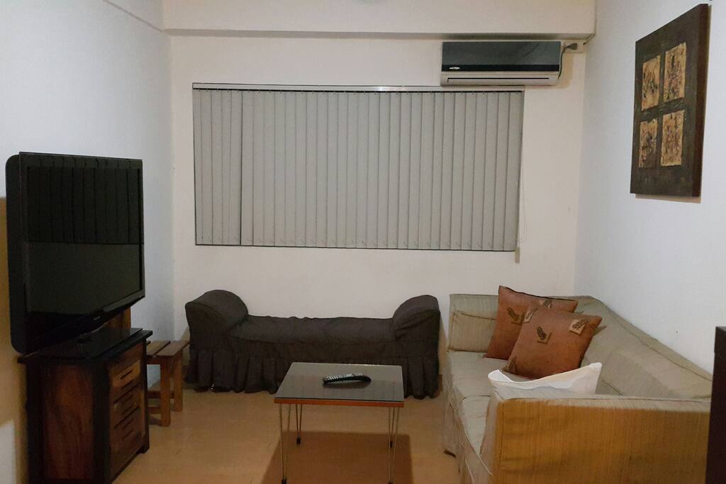 Living room with 55 in LCD TV and sofa bed.