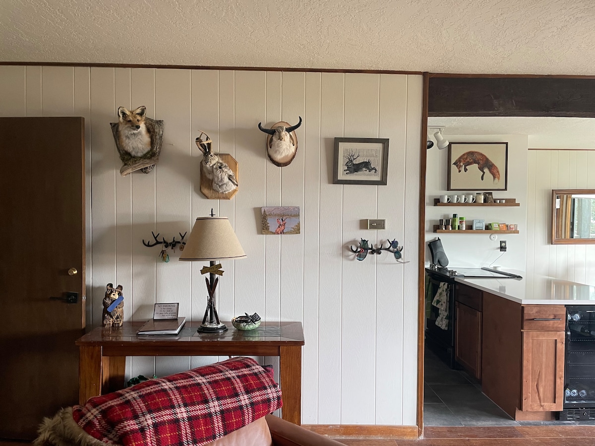 Top Airbnb: Cozy Lakefront Condo Central on Lake Dillon in Dillon