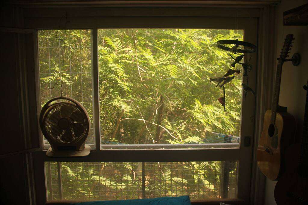 The forest next to our apartment. There is a door in the floor that leads to a nice garden next to the forest.