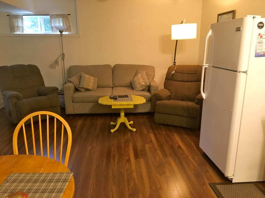 Relax in comfort in the easy chairs and on the queen size pull out couch.