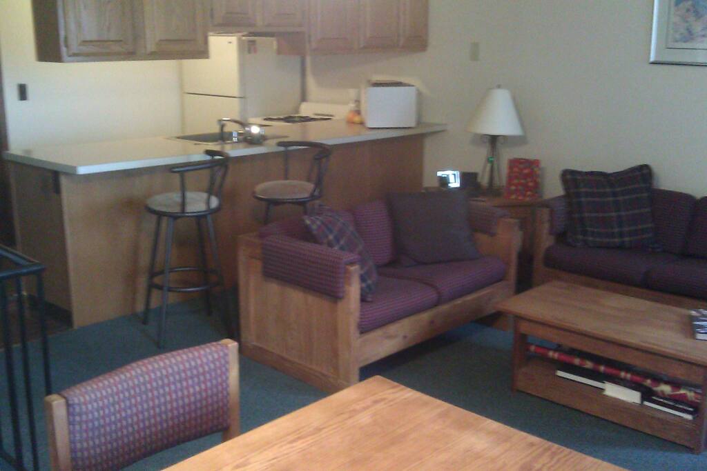 Kitchen/Living Area