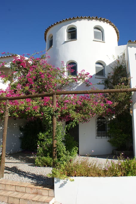 Bougainvillea from in front of the tower