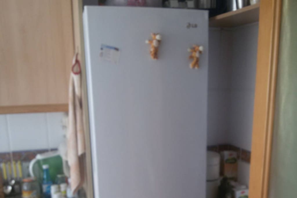 kitchen´s fridge