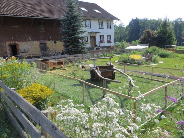 Ferien im Allgäu auf dem Bauernhof, Reiturlaub - Wohnungen zur Miete in ...
