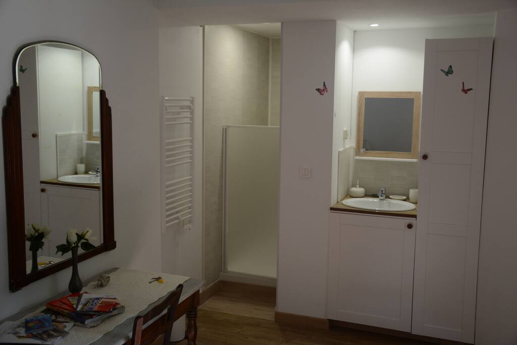 Douche et lavabo intégrés
