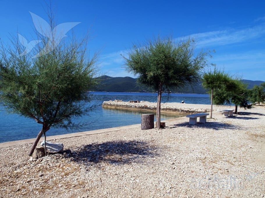 Beach in front of the house