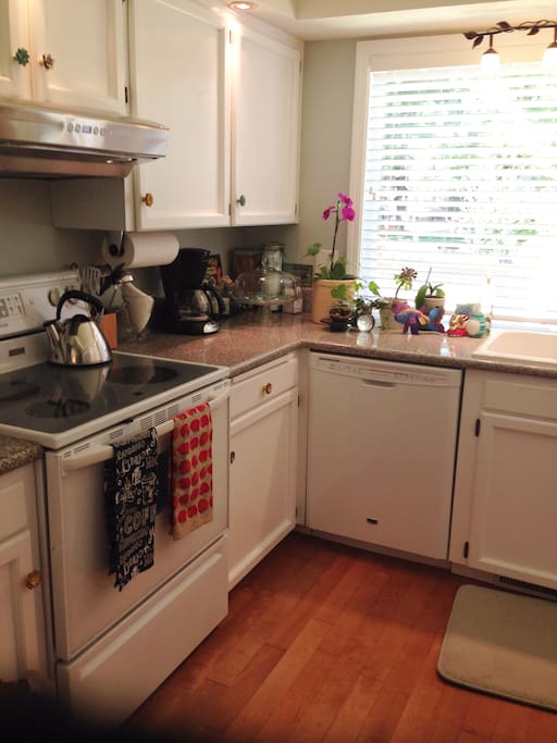 Cheery kitchen has water filter for filling your day hikes water bottles