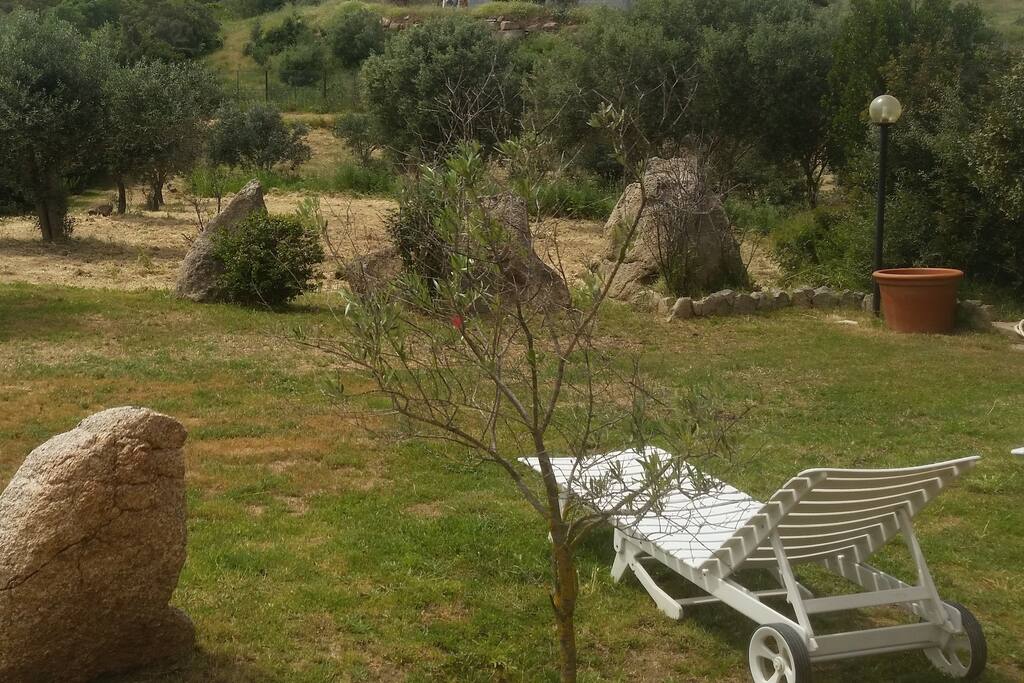 Giardino