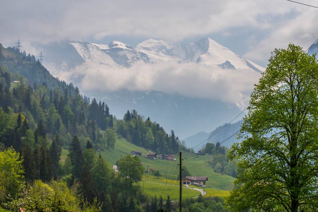 Aussicht / View