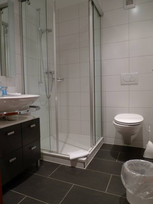 shower room. There is a separate bathroom.