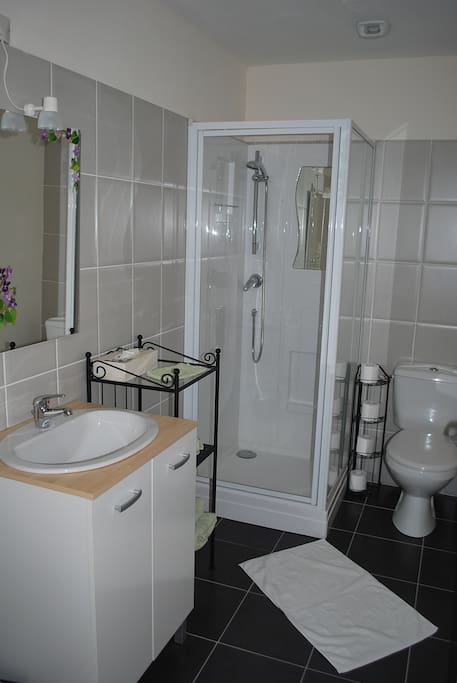 La salle de bian avec WC et douche