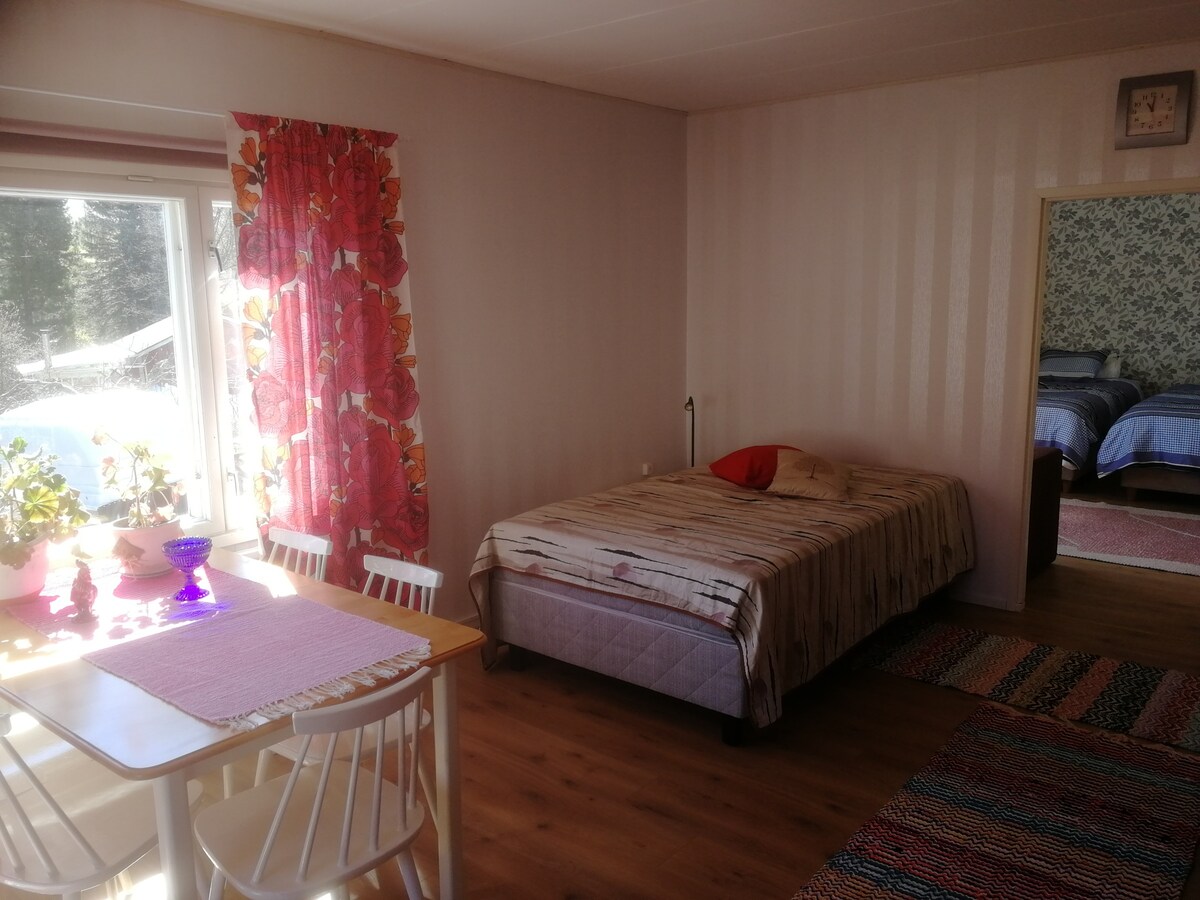 Მისაღები ოთახი საწოლი 120 სმ-ზე მეტი სასადილო მაგიდა