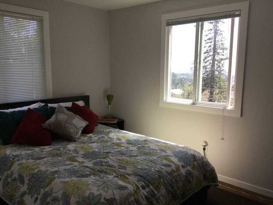 In guest room, queen bed memory foam mattress. Full closet with plenty of shelving and room to hang clothing. Small writing desk, lighted beauty mirror, and iron with ironing board.