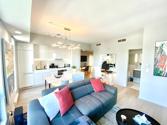 Luxury Downtown Apartment w/ parking and amenities gallery image 5