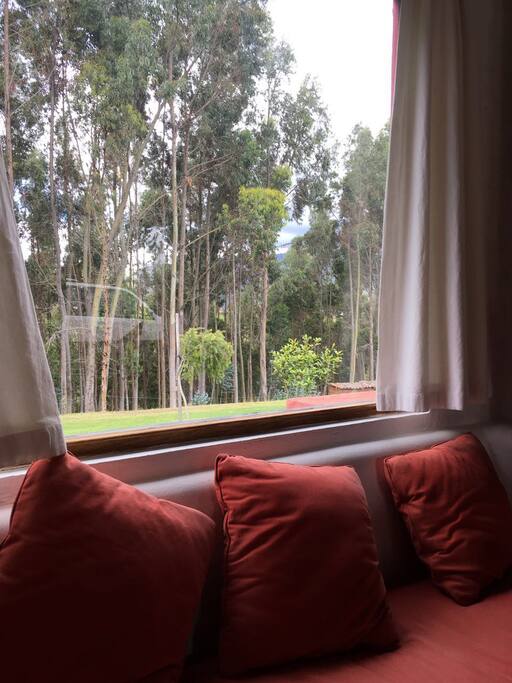 vista desde la sala