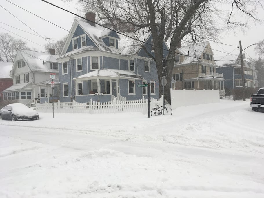 The house in winter
