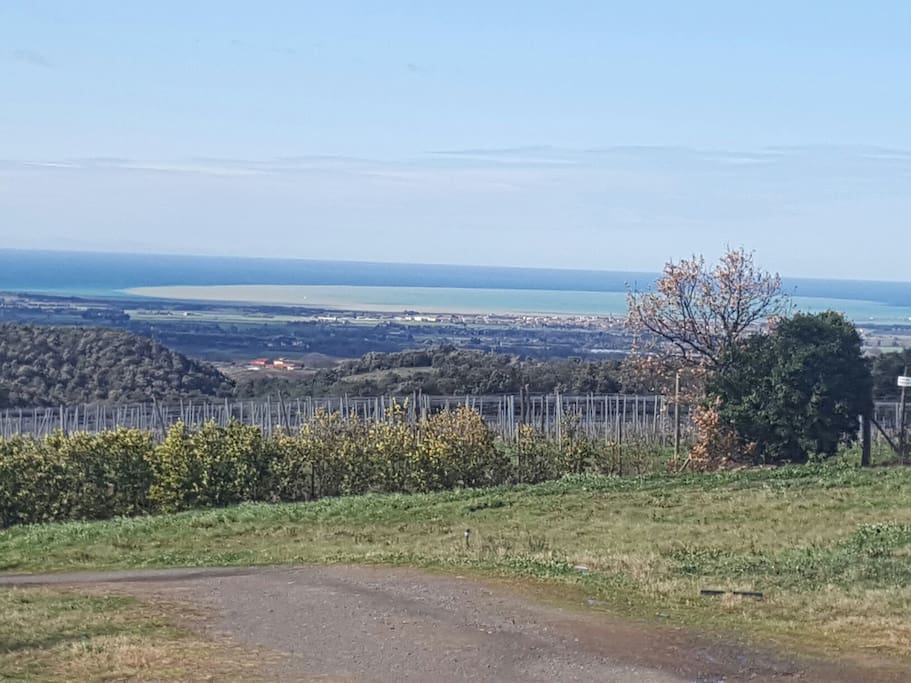 vista mare