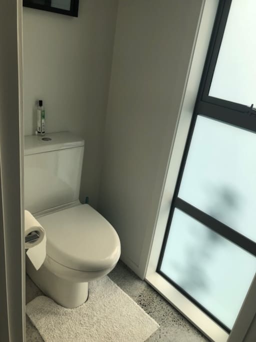 Separate Toilet (Private)