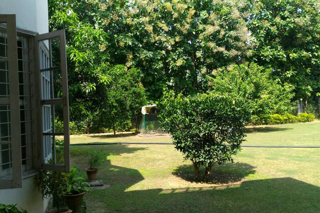 Beautiful garden