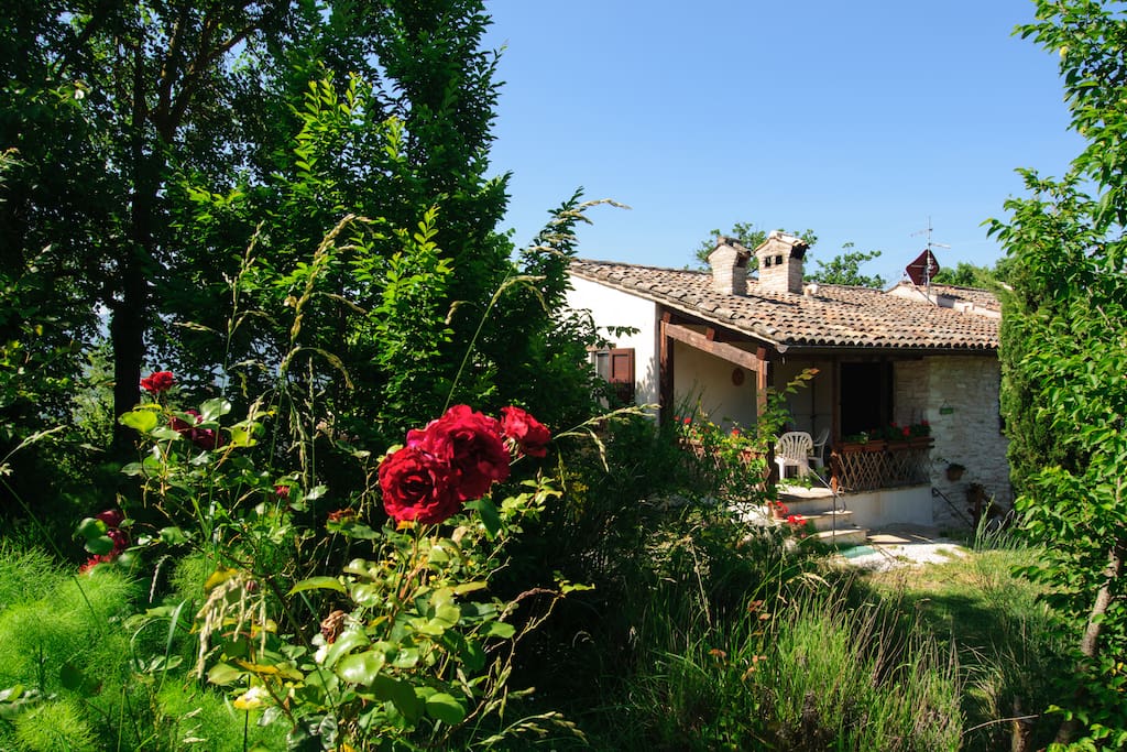 Veranda From outside