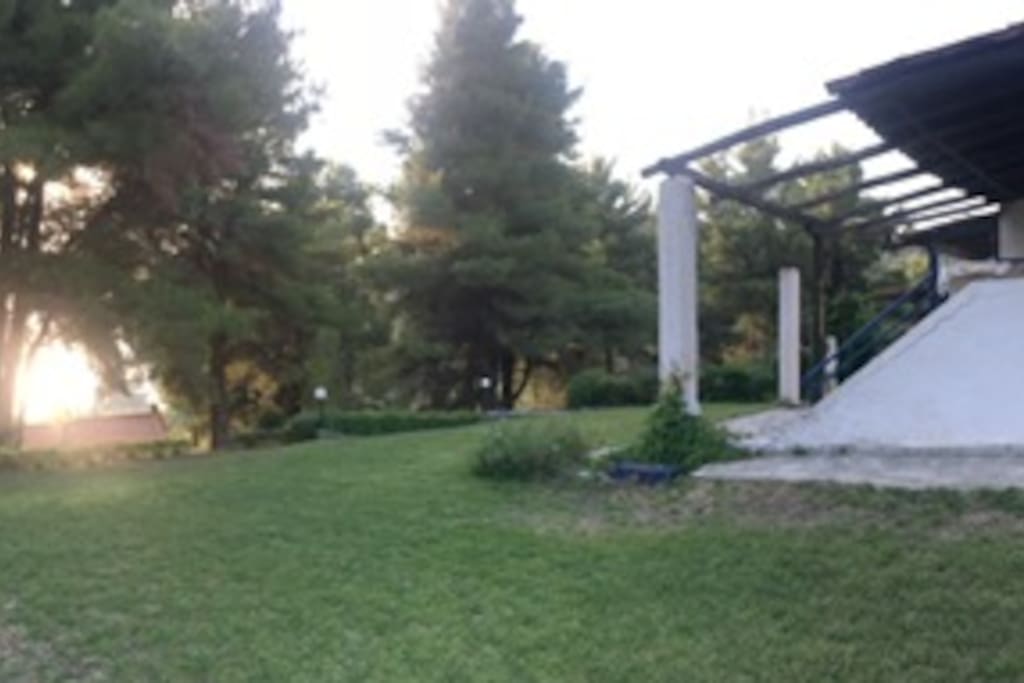Πλάγια όψη - περιβάλλον