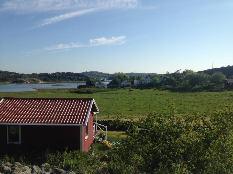 Morning view