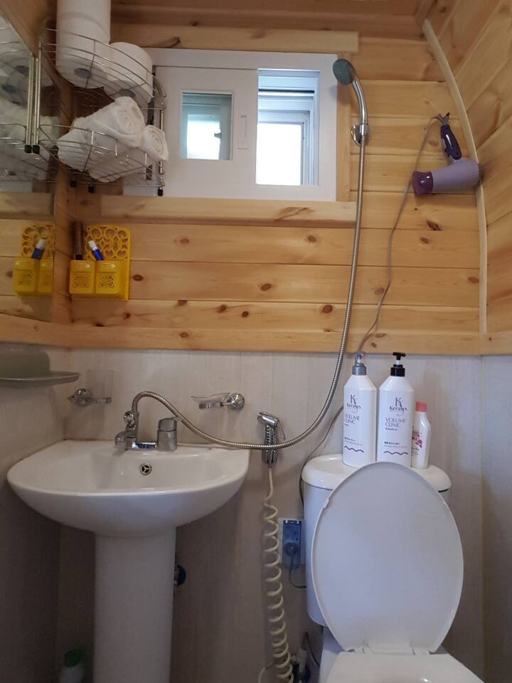 Toilet and bathroom interior