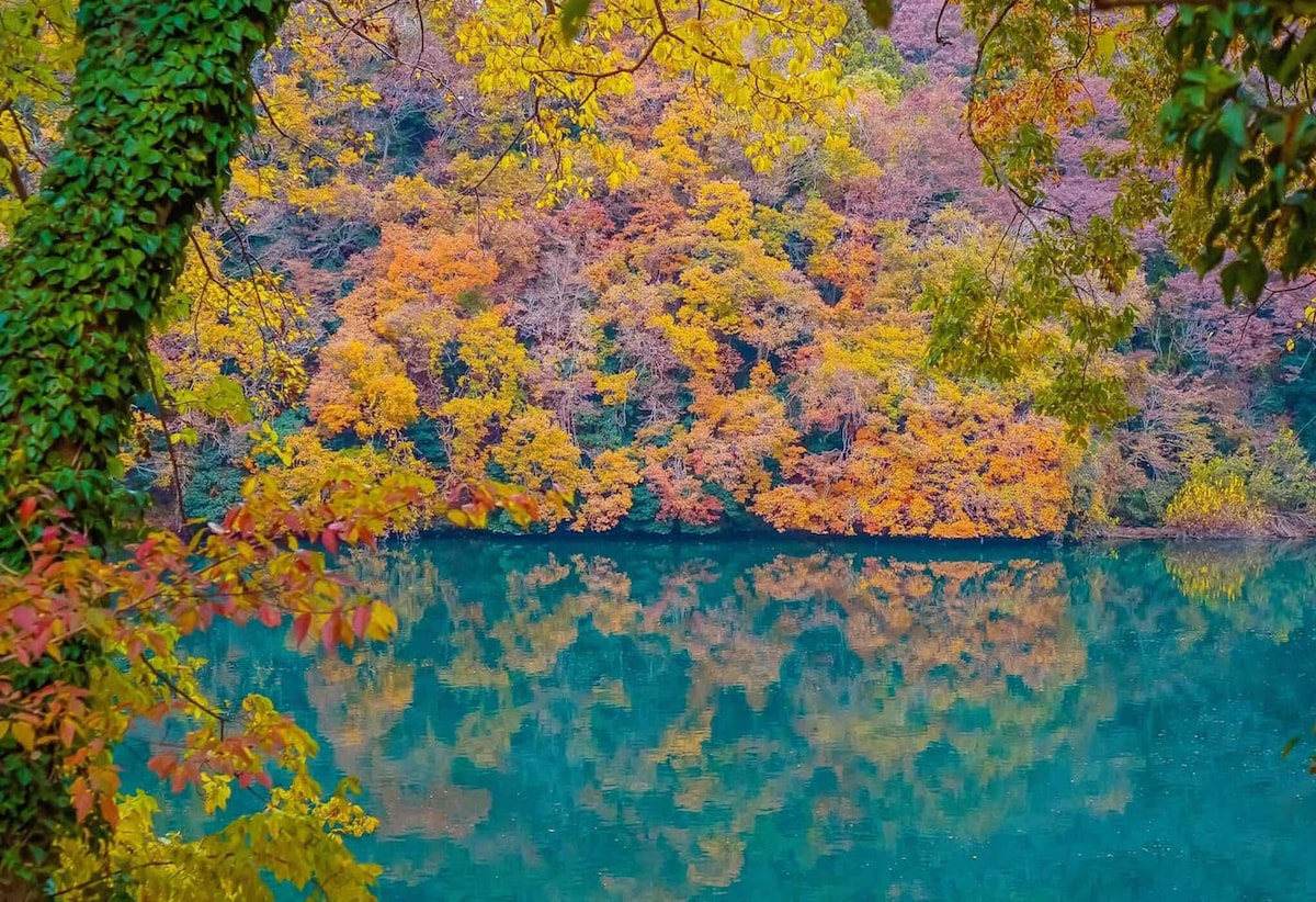 The scene showcases vibrant autumn foliage reflected in a tranquil body of water. Shades of orange, yellow, and green are visible in the trees surrounding the water, creating a serene and colorful landscape. The peaceful environment invites relaxation and appreciation of nature.