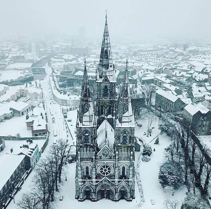 St Finn Barre's Cathedral Cork City, 2018