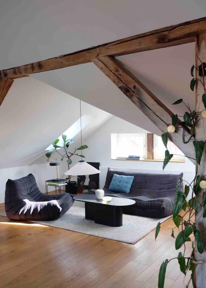 Dachgeschoss Design Apartments Weimar®! 360° View