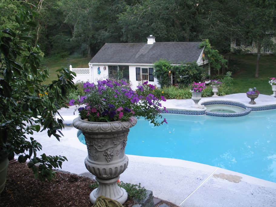 Pool View from Upper Level