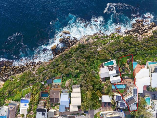 Curly Sunrise gallery image 2