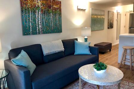 Modern mountain studio with loft