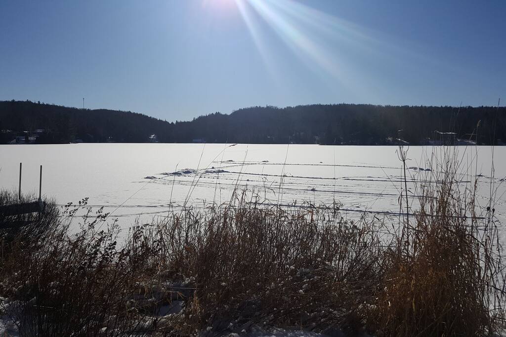 Belle journée d'hiver