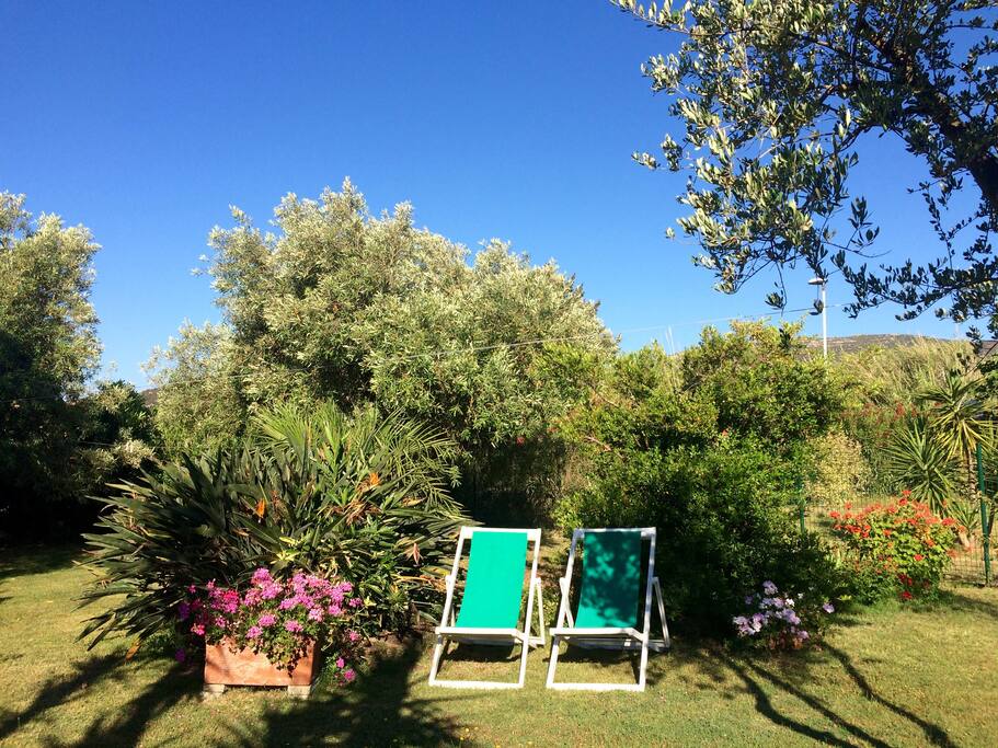 The garden.