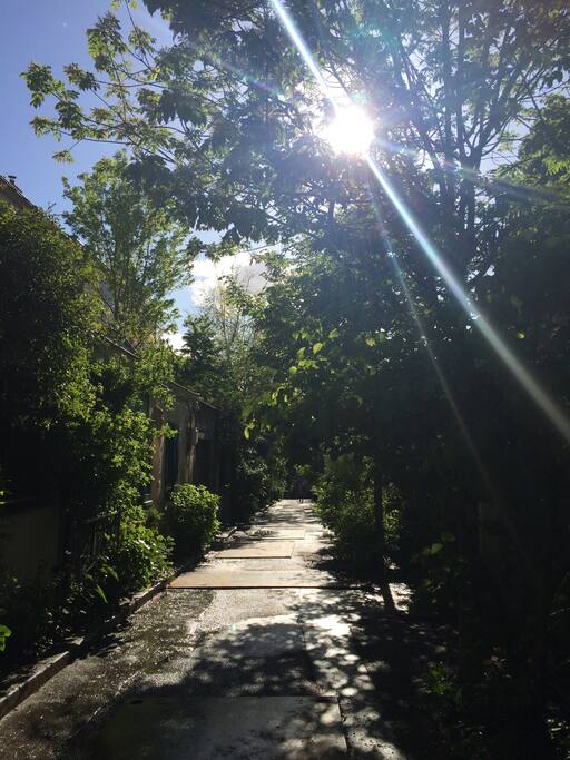 Au printemps / Springtime