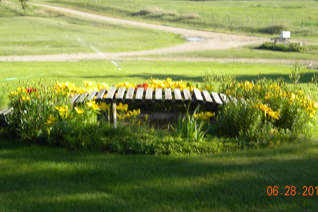 Small view of camping area across driveway.