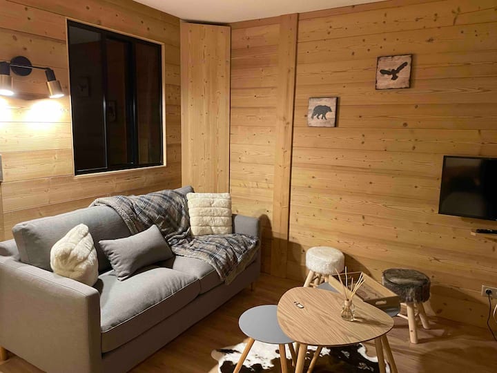 2alp Apt4/6p Balcon Vue 100mpist Pkg, T2+coin Nuit - Vénosc