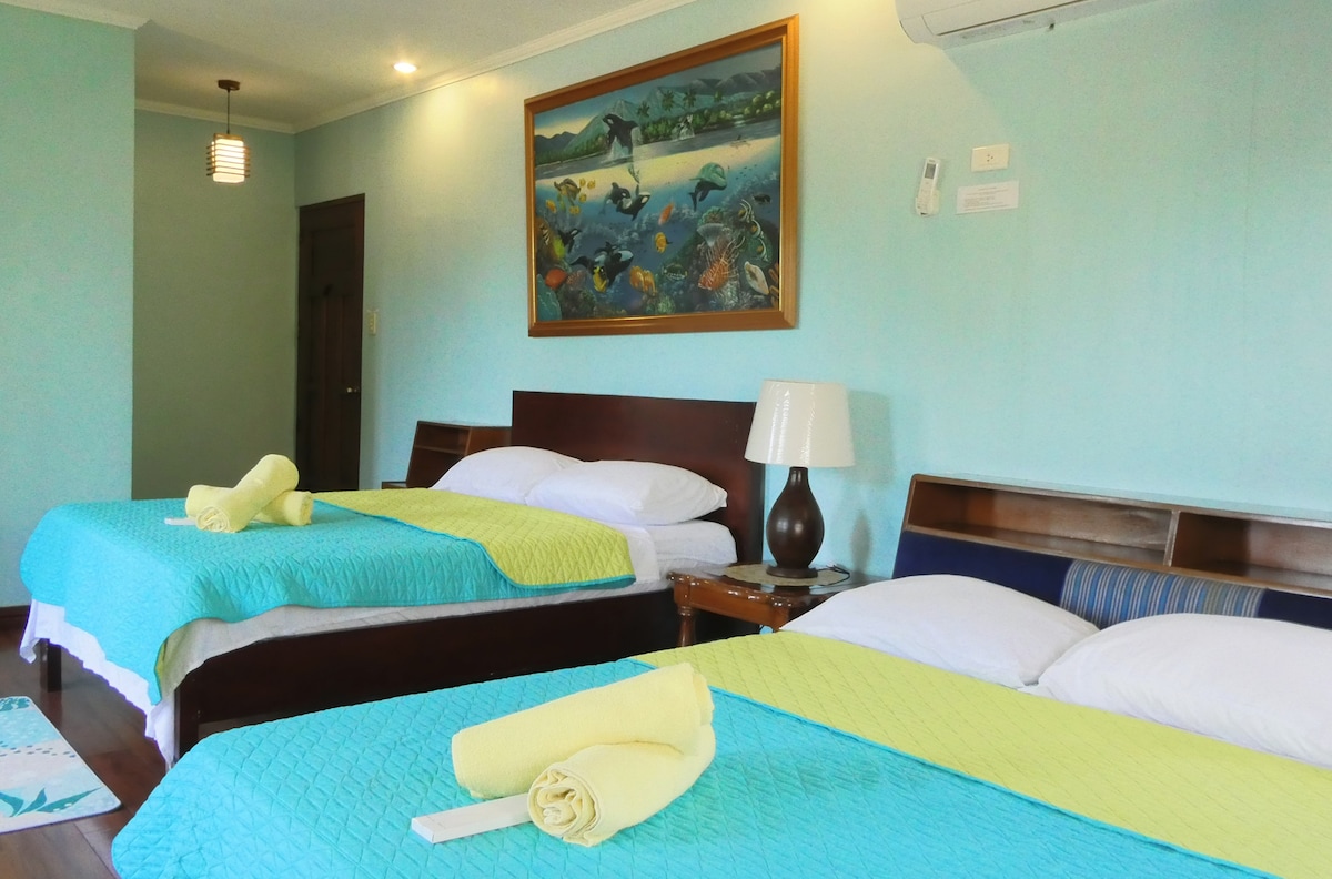 تقع الغرفة C في الطابق الثاني. 
ثلاثة أسرّة بحجم كبير. 
مرحاض وحمام خاصين. 