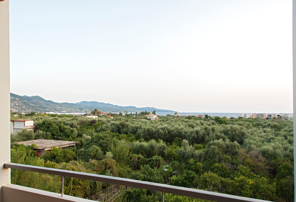 Panoramic view