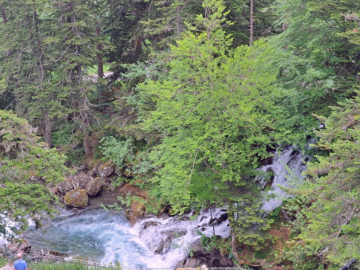 A serene scene of a flowing river surrounded by lush greenery and tall trees. The water cascades over rocks, creating a soothing visual contrast against the vibrant greens of leaves and moss-covered stones.