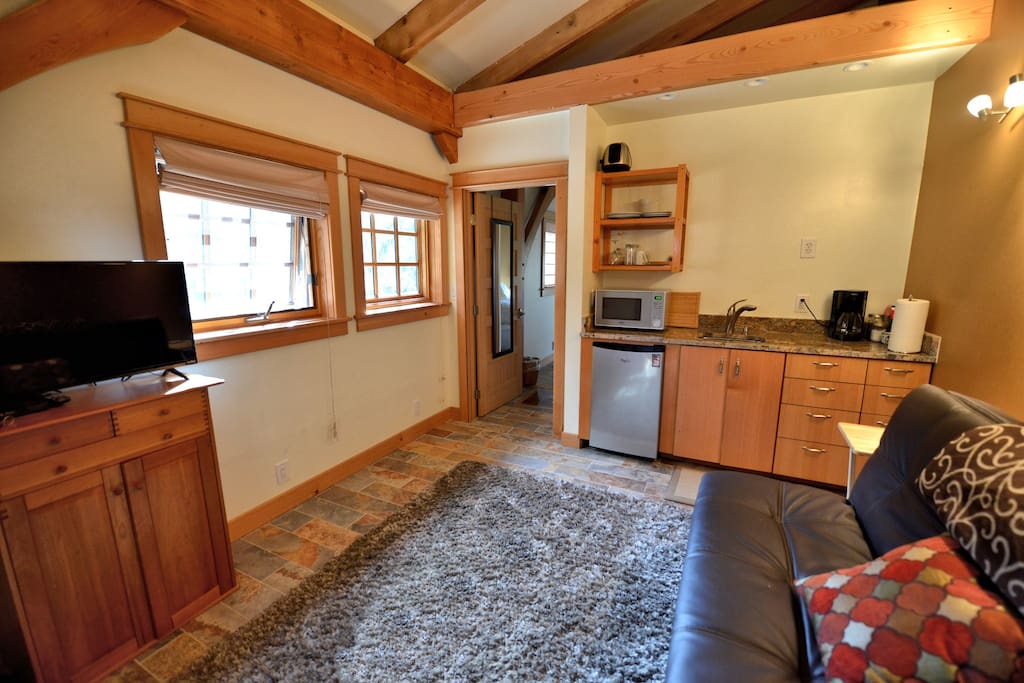 LIVING ROOM AND KITCHENETTE