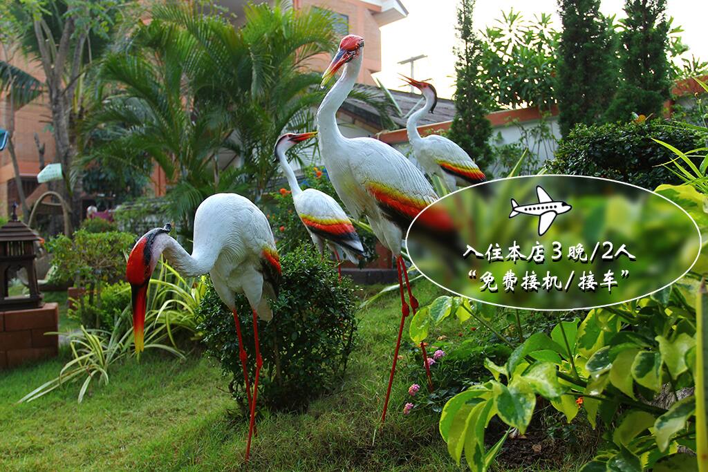 花园里的仙鹤