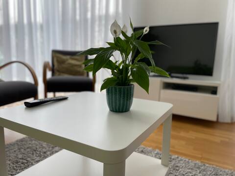 Leistungsstarkes Airbnb: Cozy apartment near MedUni - 75 sqm in Graz