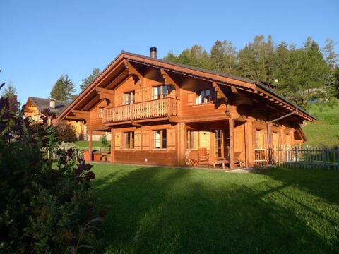 Chalet in Swiss Alps