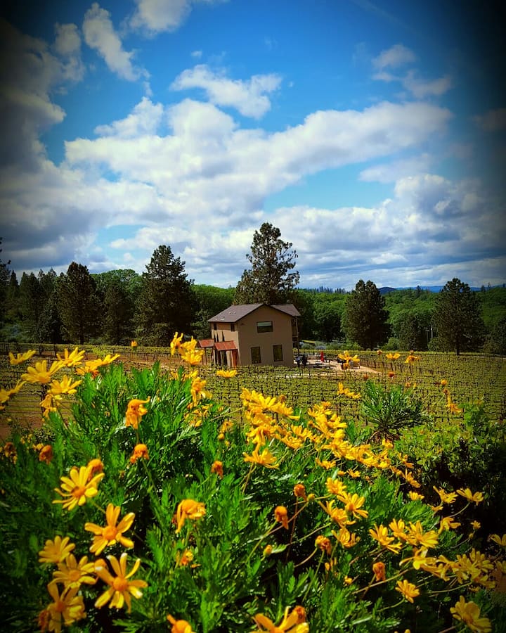 Laujor Vineyard Loft & Winery Farm stays for Rent in Kelseyville
