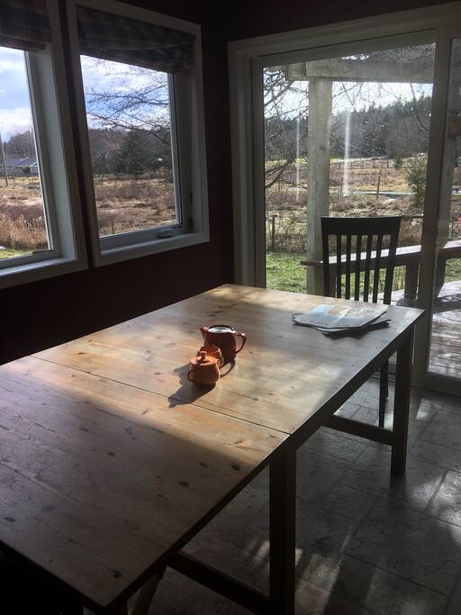 View from kitchen table
