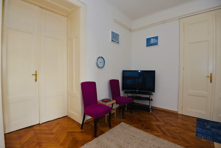 Charming Flat In Zagreb City Center- Free Parking - Zagreb