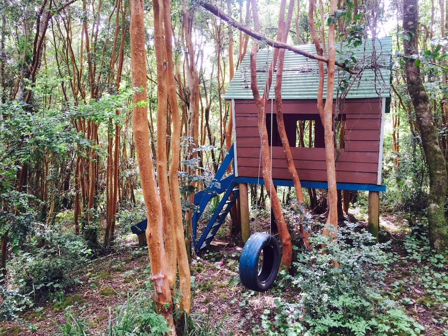 Zona de niños
Casa de los duendes del bosque, resbalín y columpio